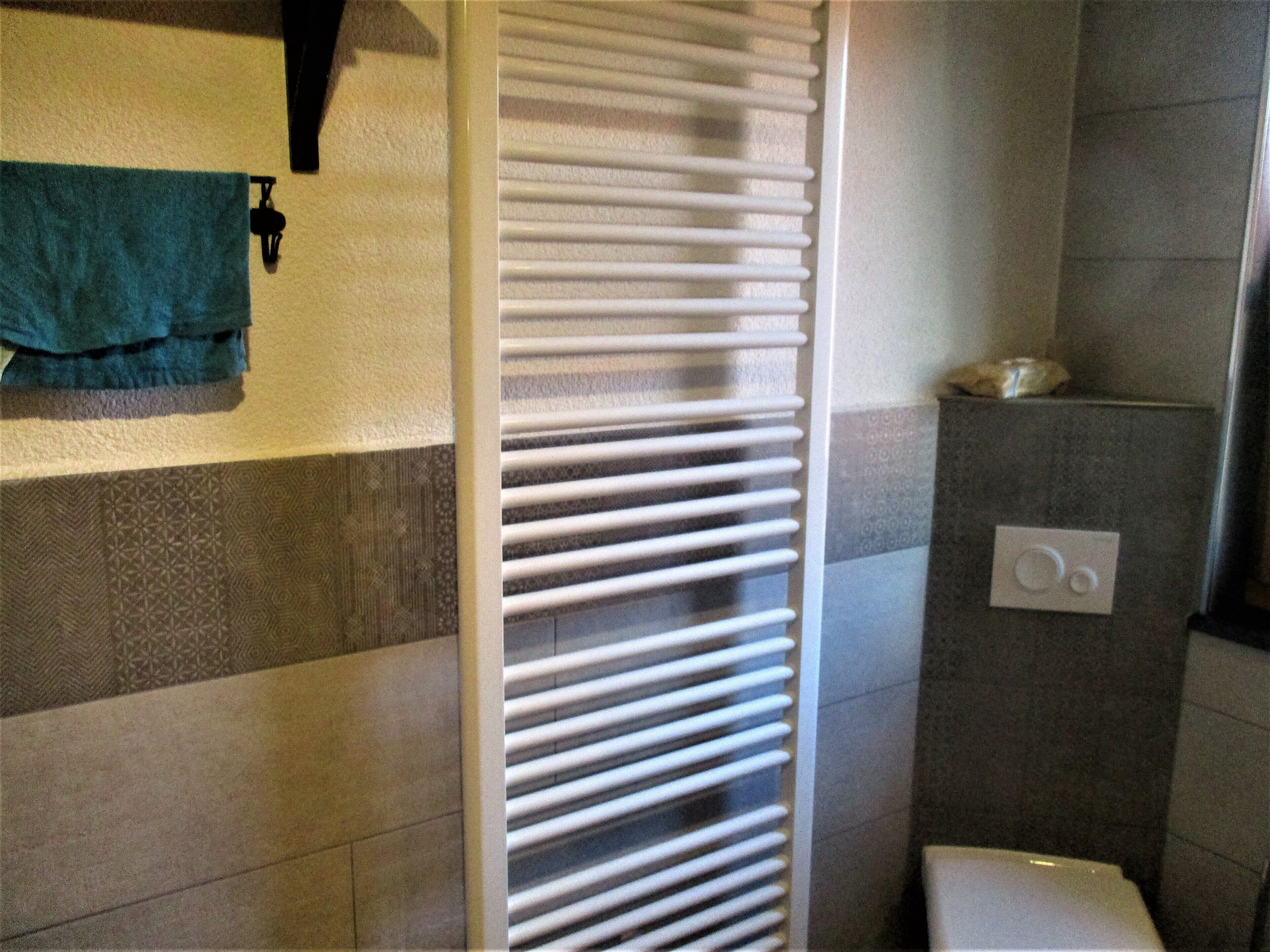 A bathroom with a towel rack, a toilet, and a shower area.