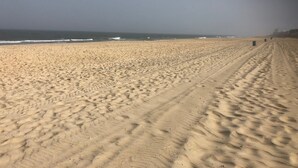 Nær stranden