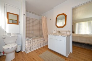 Een badkamer met toilet, douche, wastafel en spiegel.