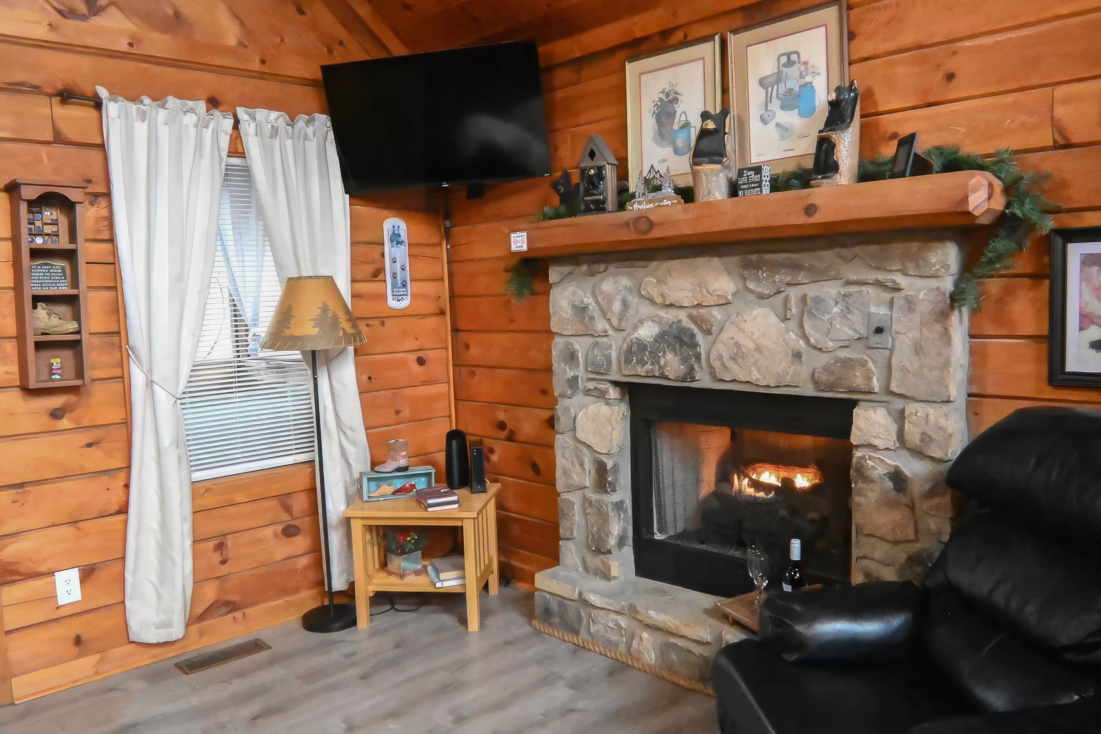 TV, fireplace