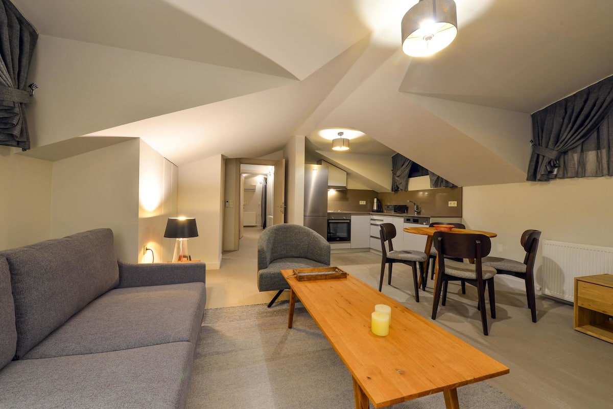 Panoramic Apartment, 1 Bedroom, Terrace, Mountain View (Palmiye) | Living area