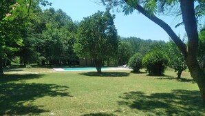 Un césped con piscina, rodeado de árboles y arbustos.