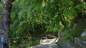 A stone pathway leading through a forested area with wooden railings and benches.