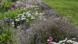 A garden with a variety of flowers and a well-maintained lawn. - Newly renovated traditional farmhouse (Ģibuļi)