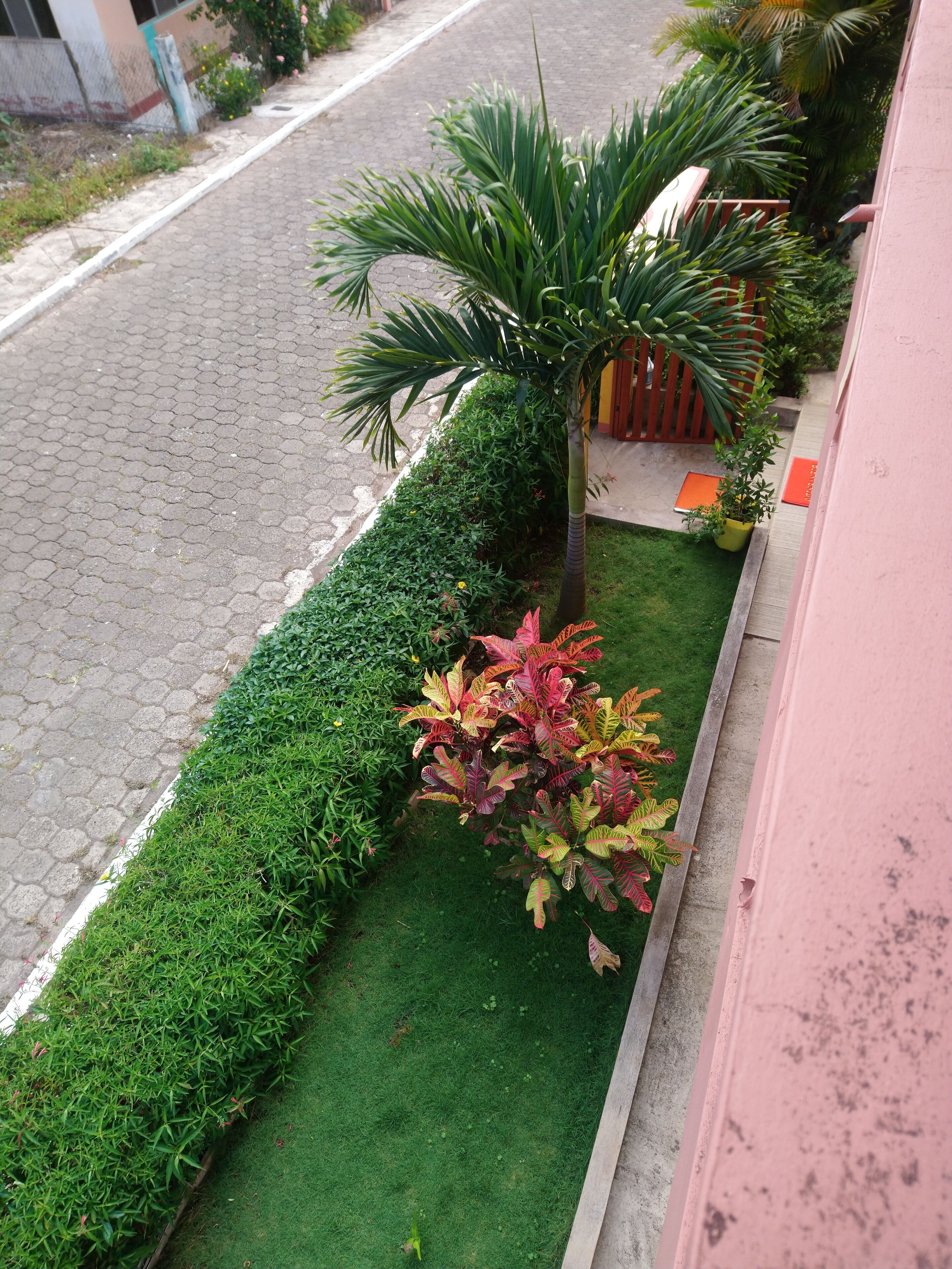 family suite | view from room