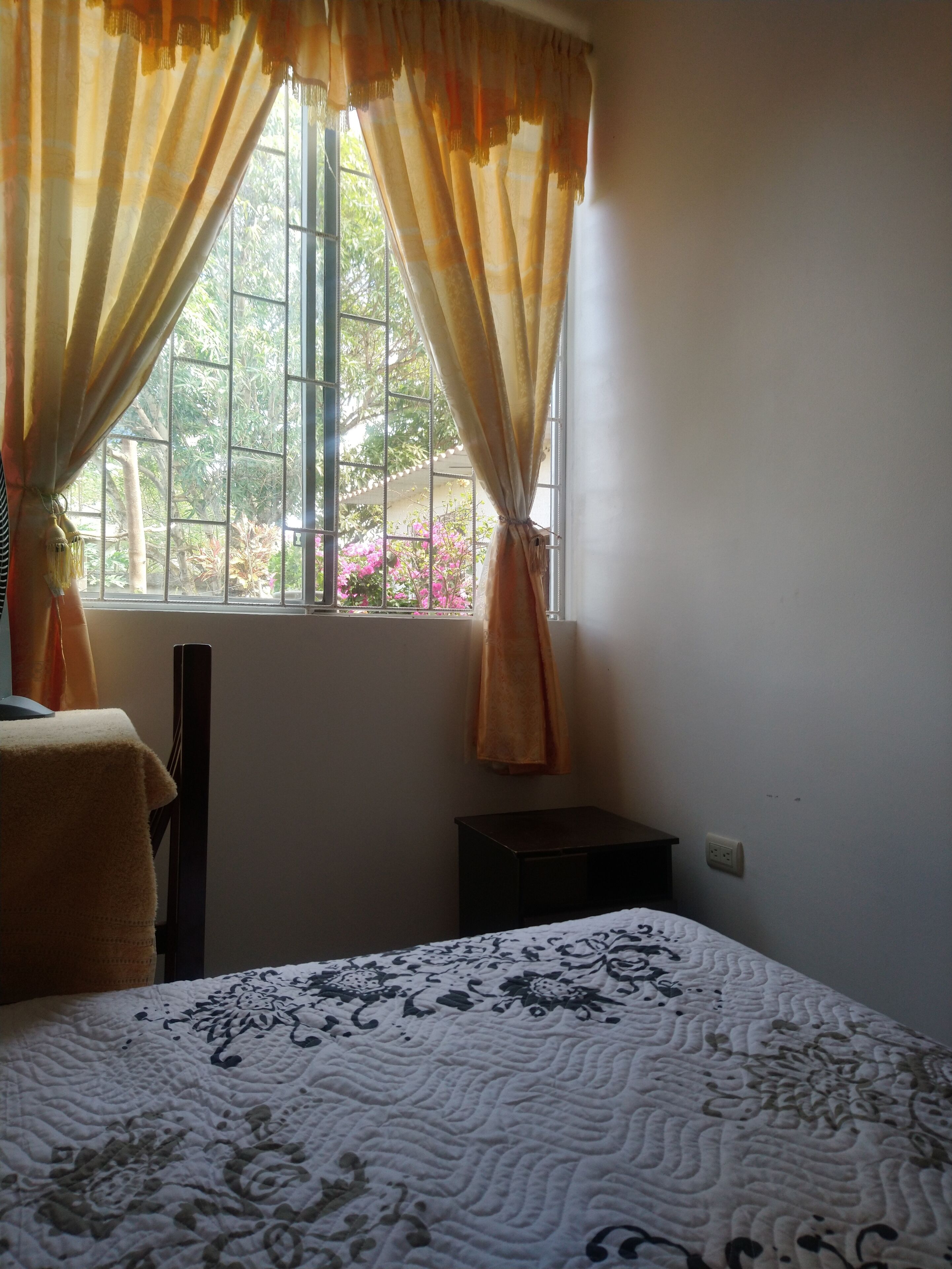 standard single room | view from room