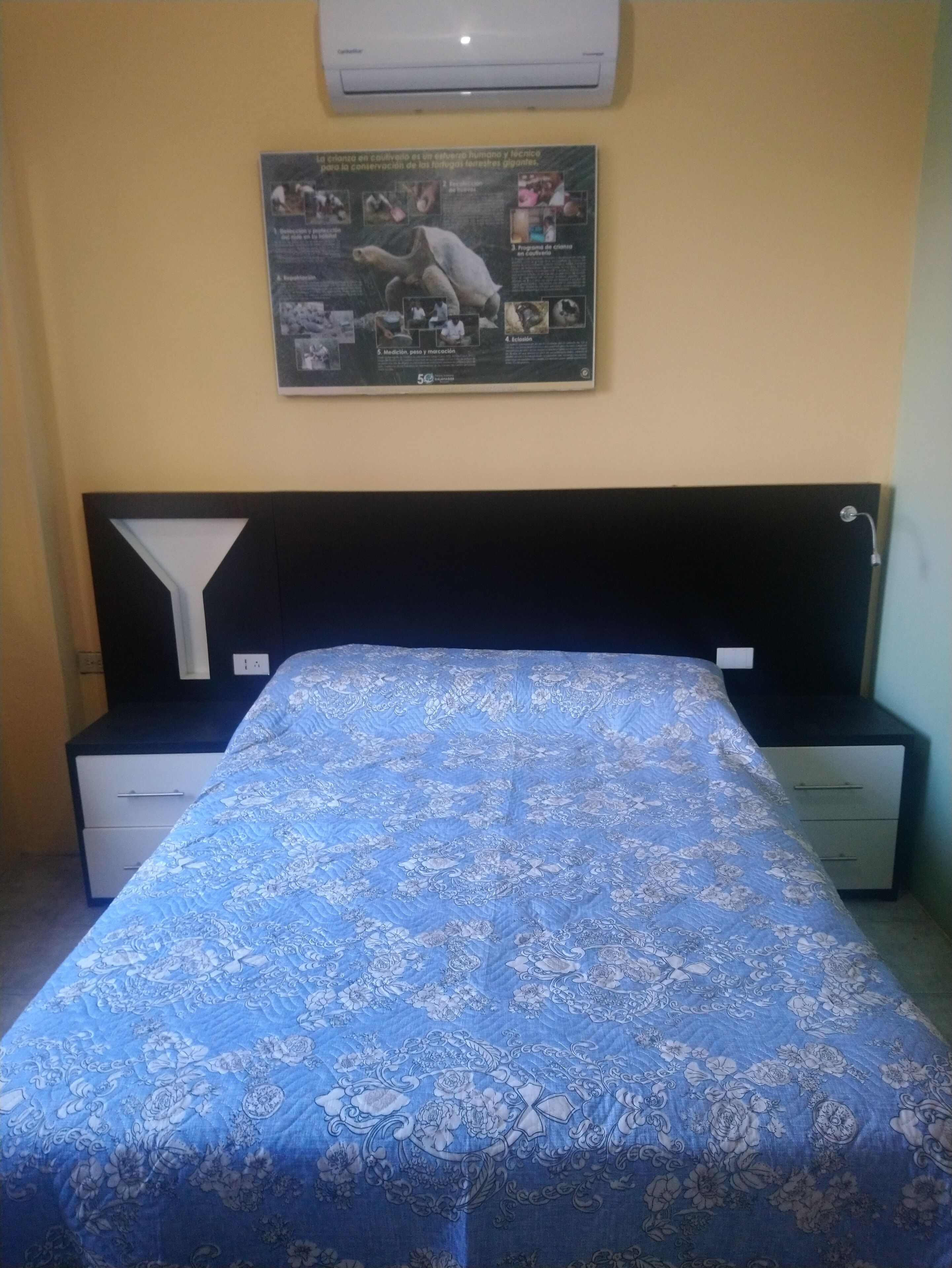 standard double room | free wifi