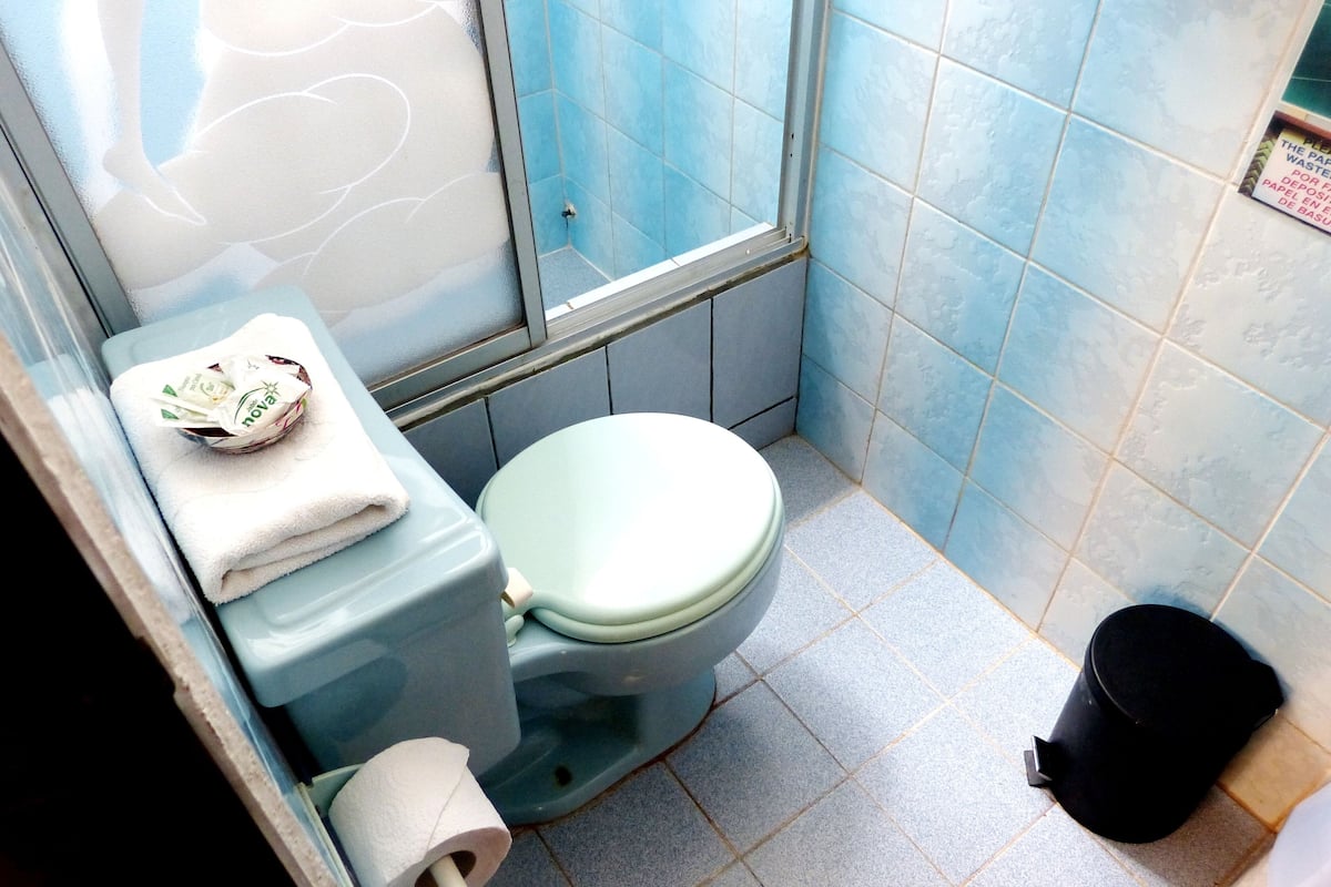 standard double room | bathroom | shower, hair dryer, towels, soap