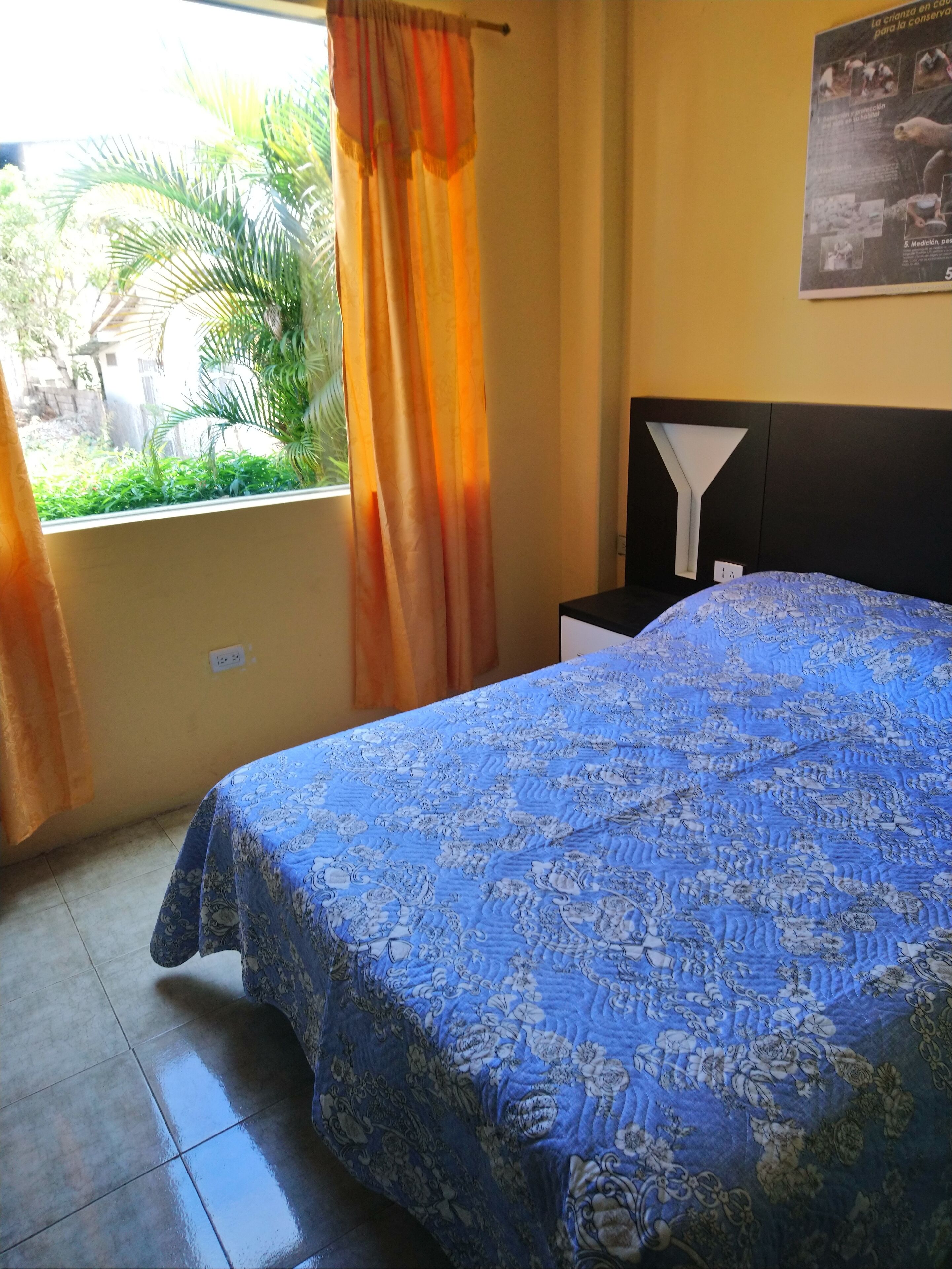 standard double room | view from room