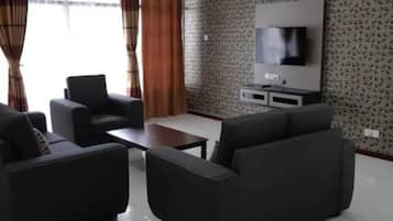 Televisor
