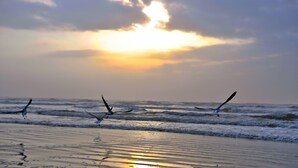 A beach with waves and birds flying over the water. - BEACHFRONT on 1 acre lot with incredible beach and bay views.  (Freeport)