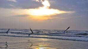 On the beach, sun loungers, beach towels