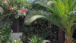 Un jardín con diversas plantas, entre ellas una palmera y arbustos florecientes.