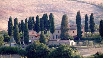 Vista aérea