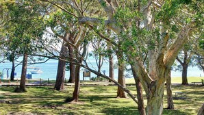 Un parc avec des arbres, un espace pique-nique et une vue sur l’eau.