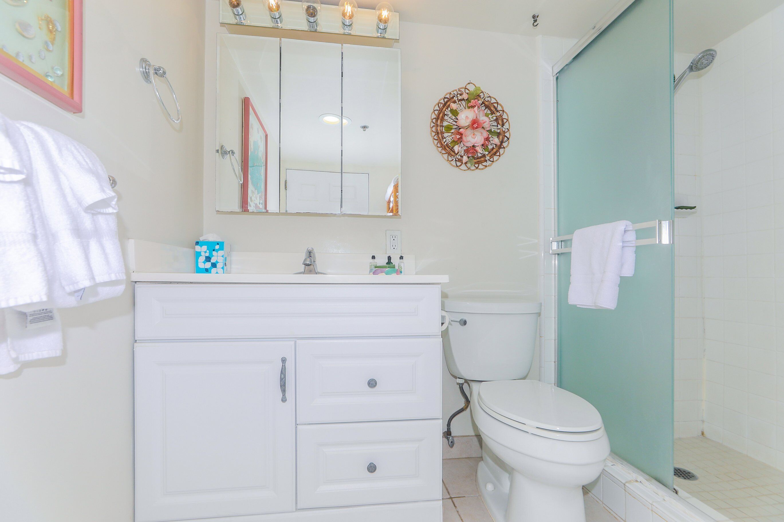 Shower, hair dryer, towels