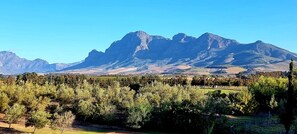 A mountainous landscape with a vineyard in the foreground and a clear sky.
