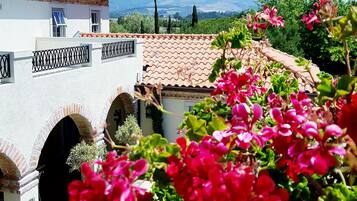 Suite de luna de miel, vistas a la piscina | Detalle del exterior