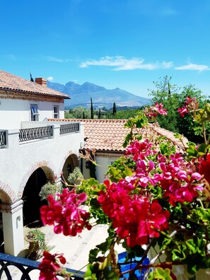 Honeymoon Suite, Pool View | Exterior detail - Sandmartins (Paarl)