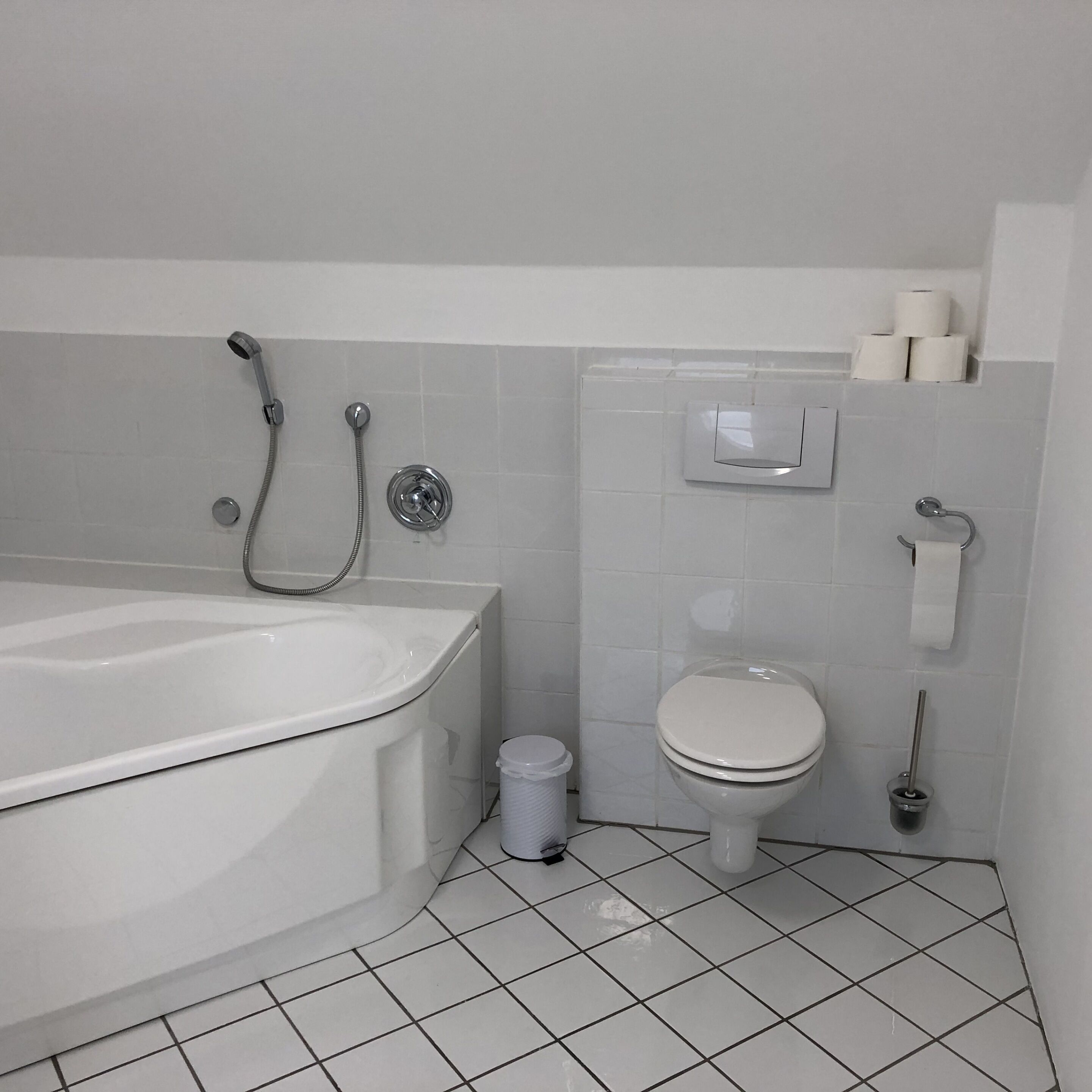 Un baño con bañera, inodoro y ducha de mano.