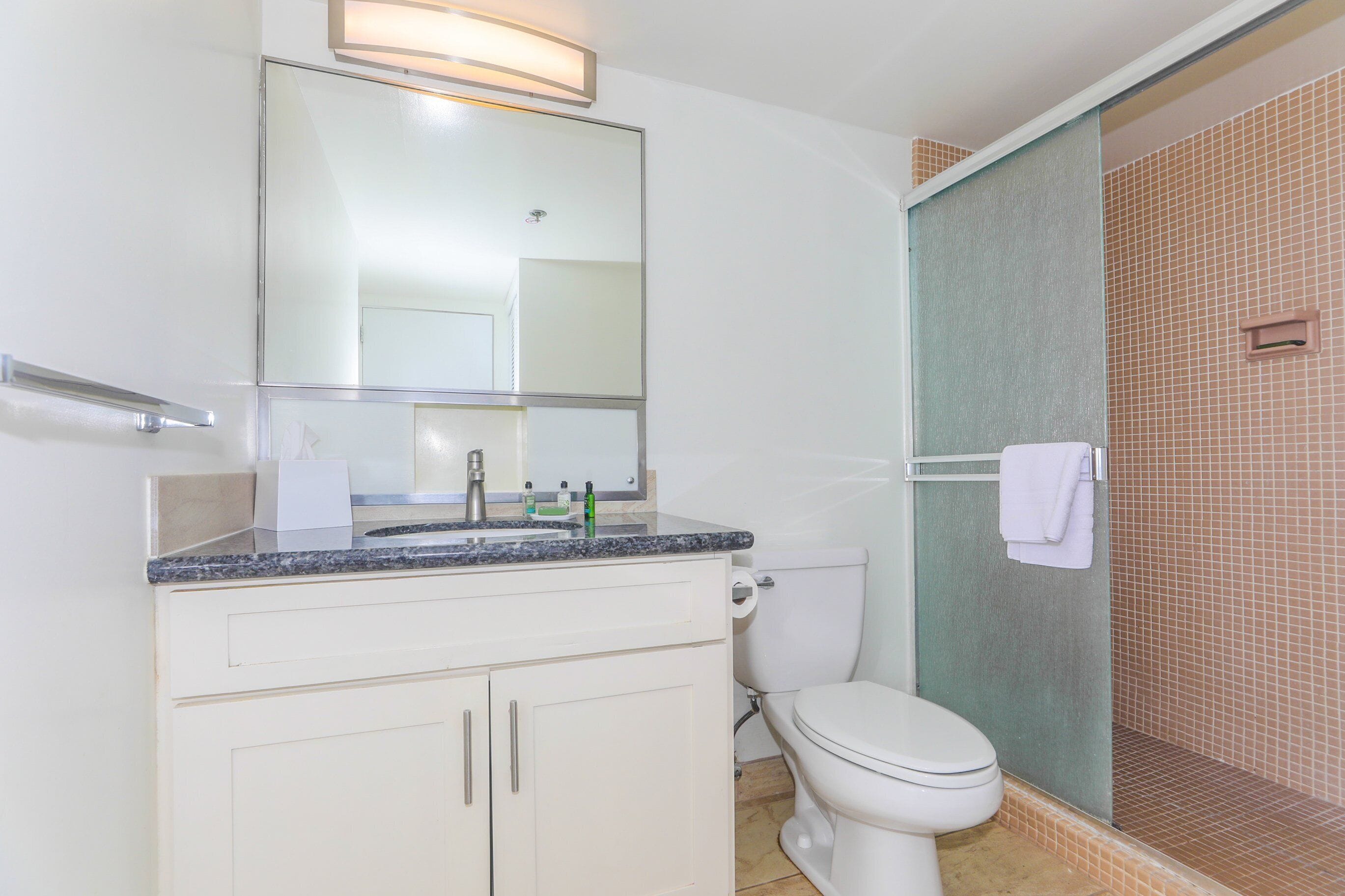 Bathtub, hair dryer, towels