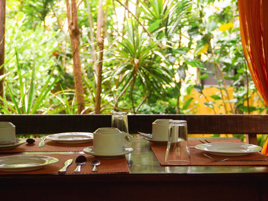 A dining table set with plates, cups, and cutlery, with a view of lush greenery through a window.