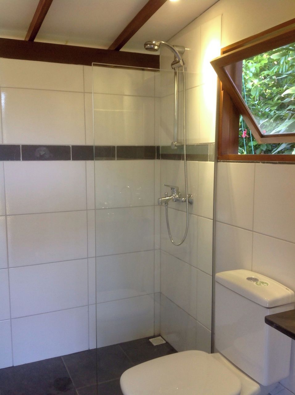 A bathroom with a shower, toilet, and a window with a view of greenery.