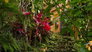 Un escalier en pierre menant à travers un jardin luxuriant, bordé d’un feuillage dense et de plantes aux couleurs vives.