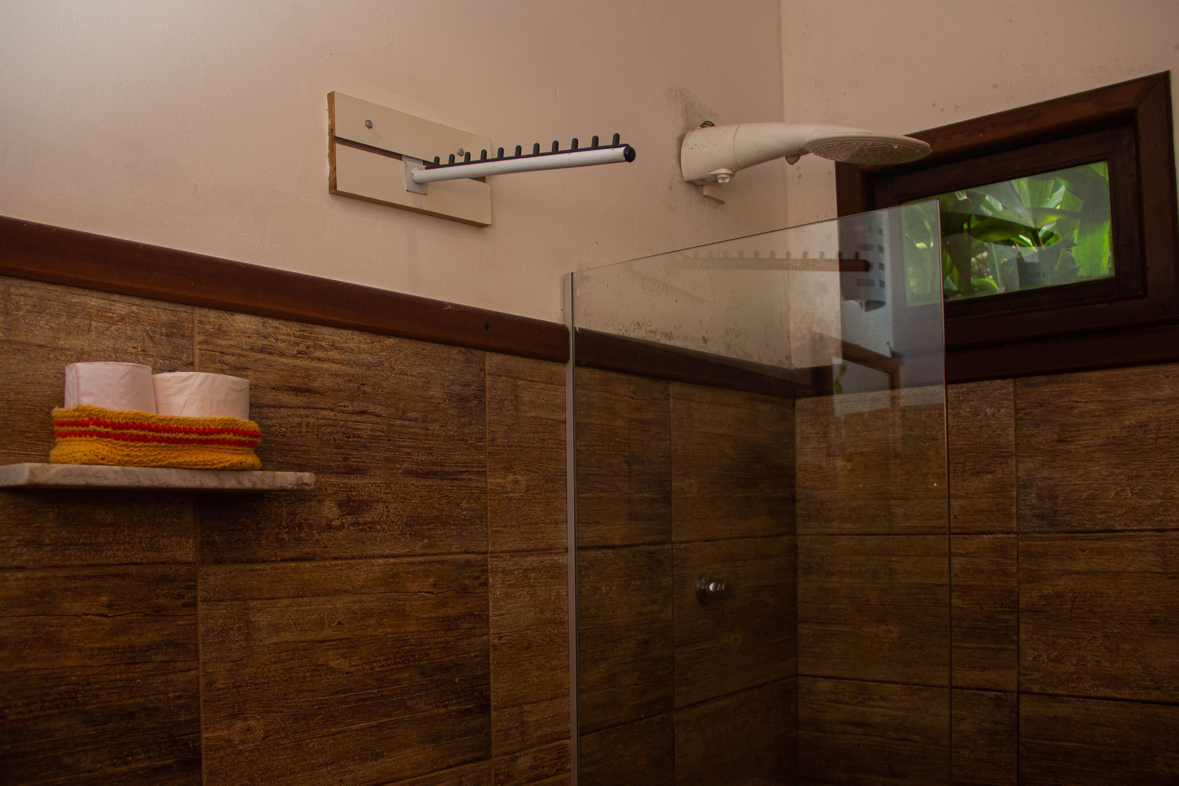 Ducha con mampara de vidrio, toallero y ventana con vista a plantas.