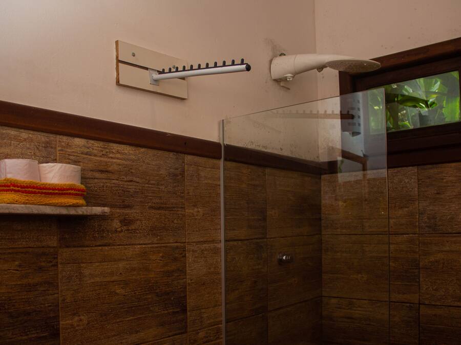 Ducha con mampara de vidrio, toallero y ventana con vista a plantas.
