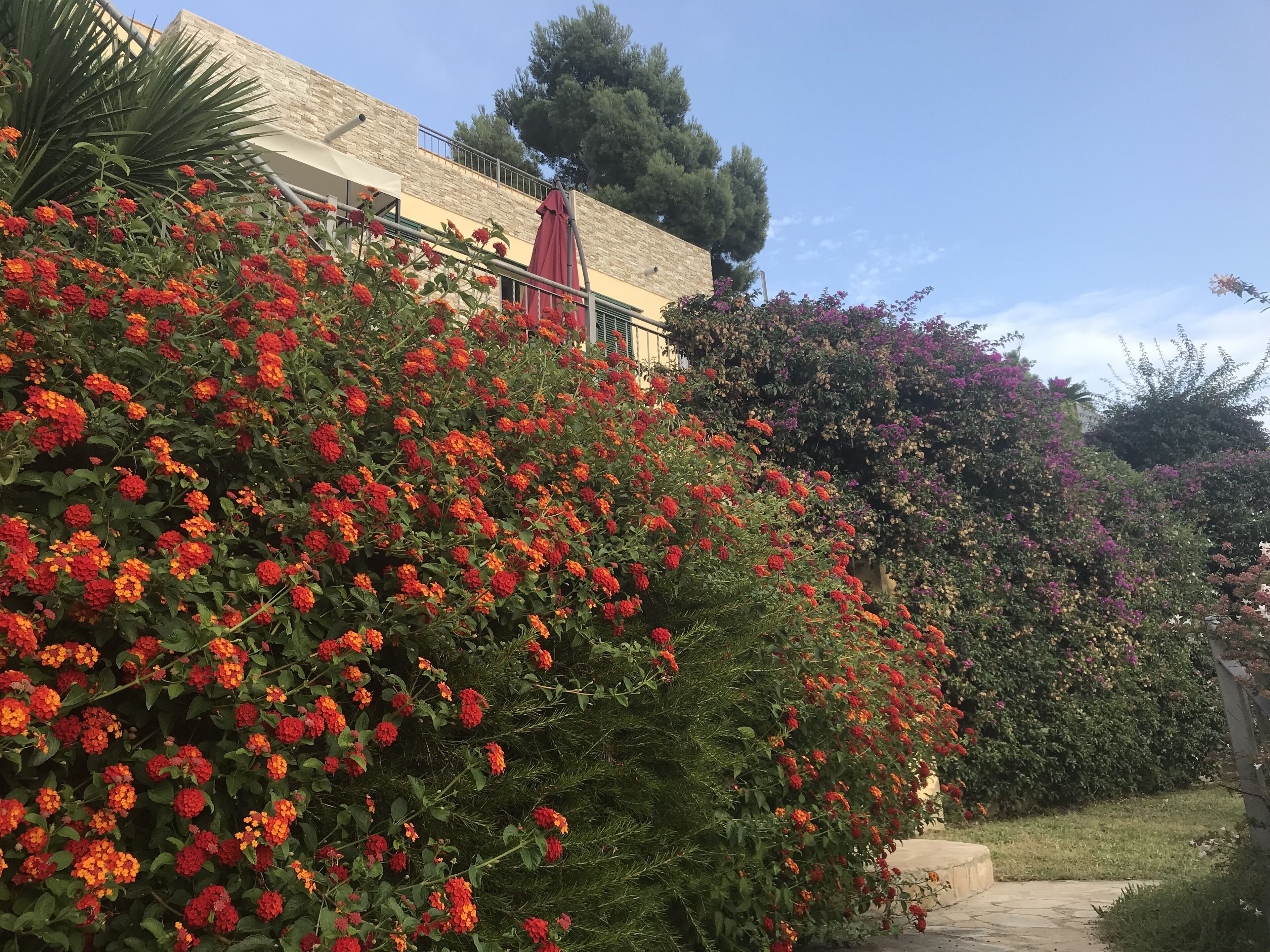 Een tuin vol weelderige rode en oranje bloemen, een stenen muur en een gebouw met een balkon.