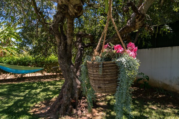 A hanging basket with plants and flowers, a hammock, and a tree trunk.