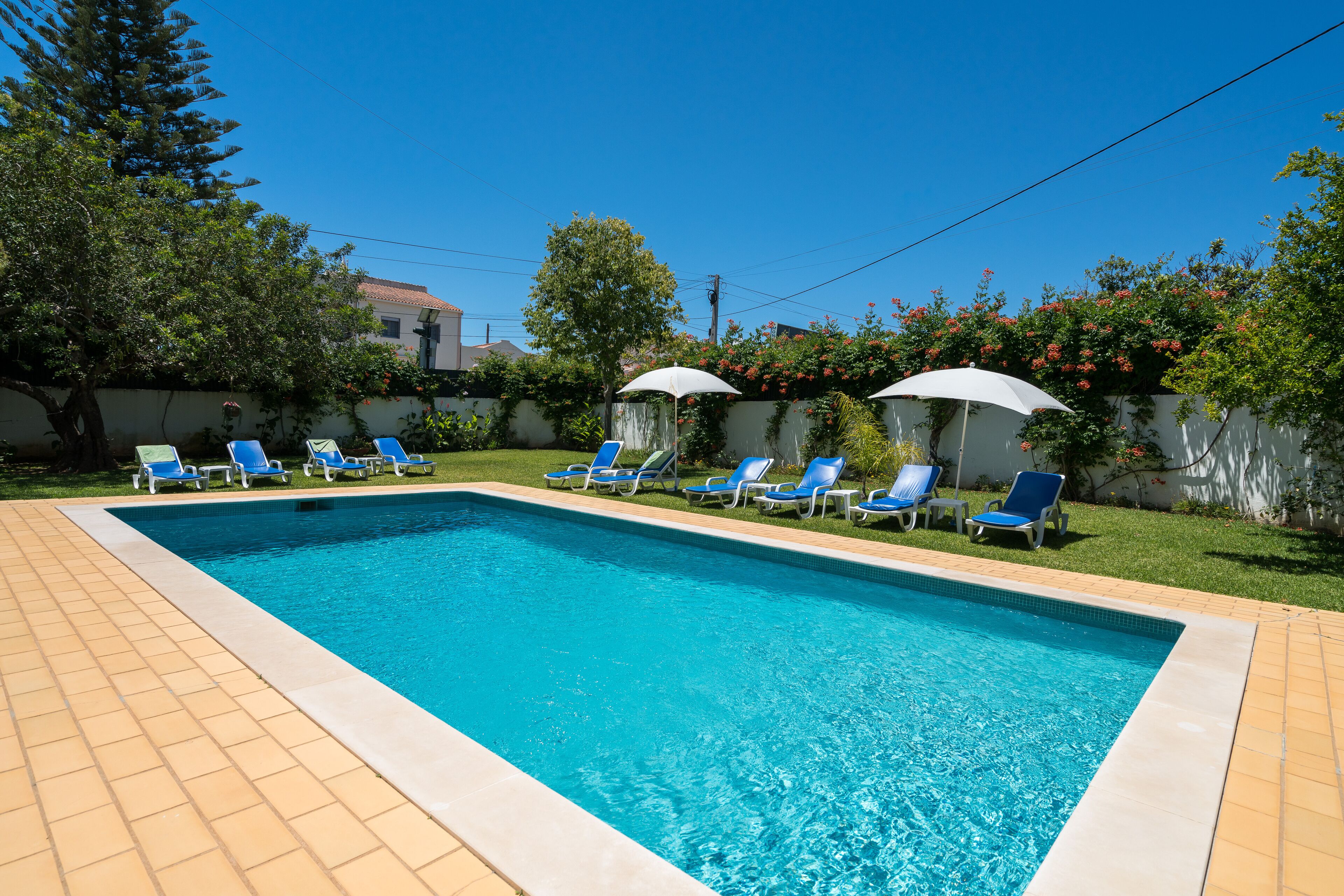 A rectangular swimming pool with clear blue water, surrounded by blue lounge chairs and white umbrellas.