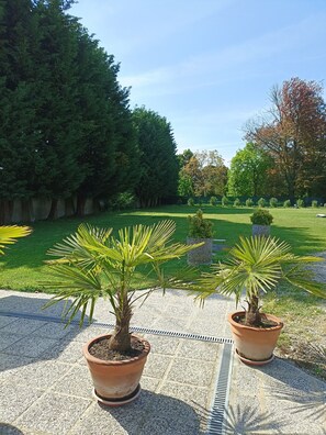 Àrea exterior de l'allotjament