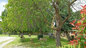 Ein Garten mit Kiesweg, Bänken und Kübelpflanzen.