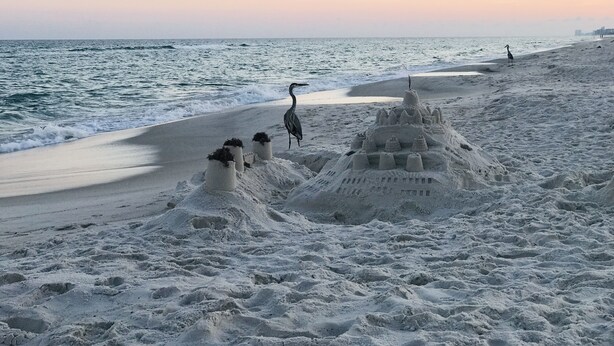 Een strand met een groot zandkasteel en een vogel die in de buurt staat.