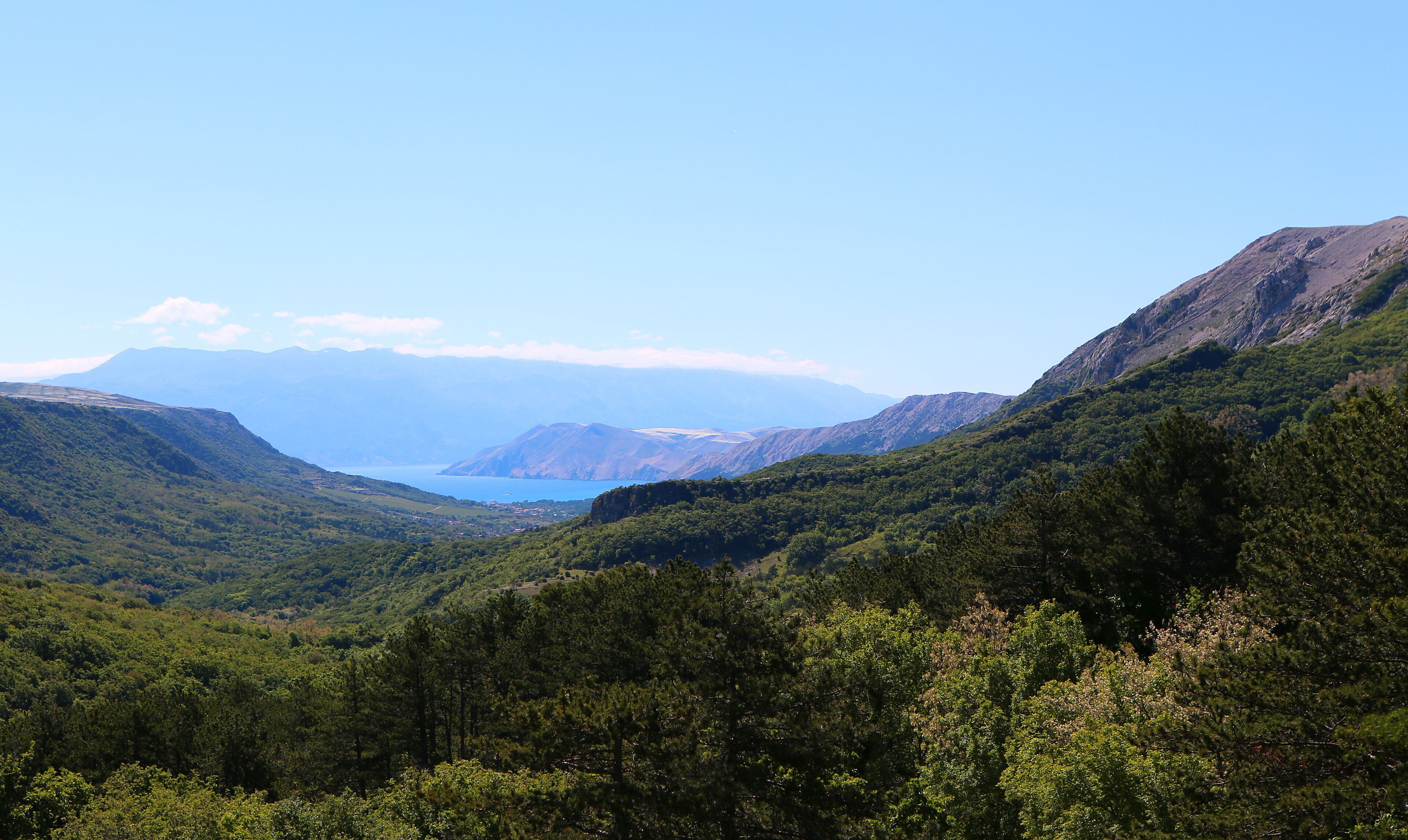 Een bergachtig landschap met dichte bossen en een meer in de verte.