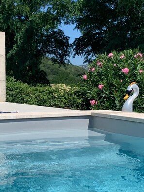 Relax by the serene pool surrounded by lush greenery and flowering plants.