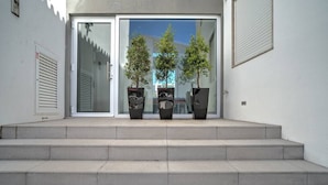 A set of concrete steps leading to a glass door with three potted trees.
