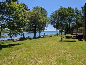 A grassy outdoor area with picnic tables and a view of the water. - Oceanfront home on the Schoodic Peninsula (Gouldsboro)