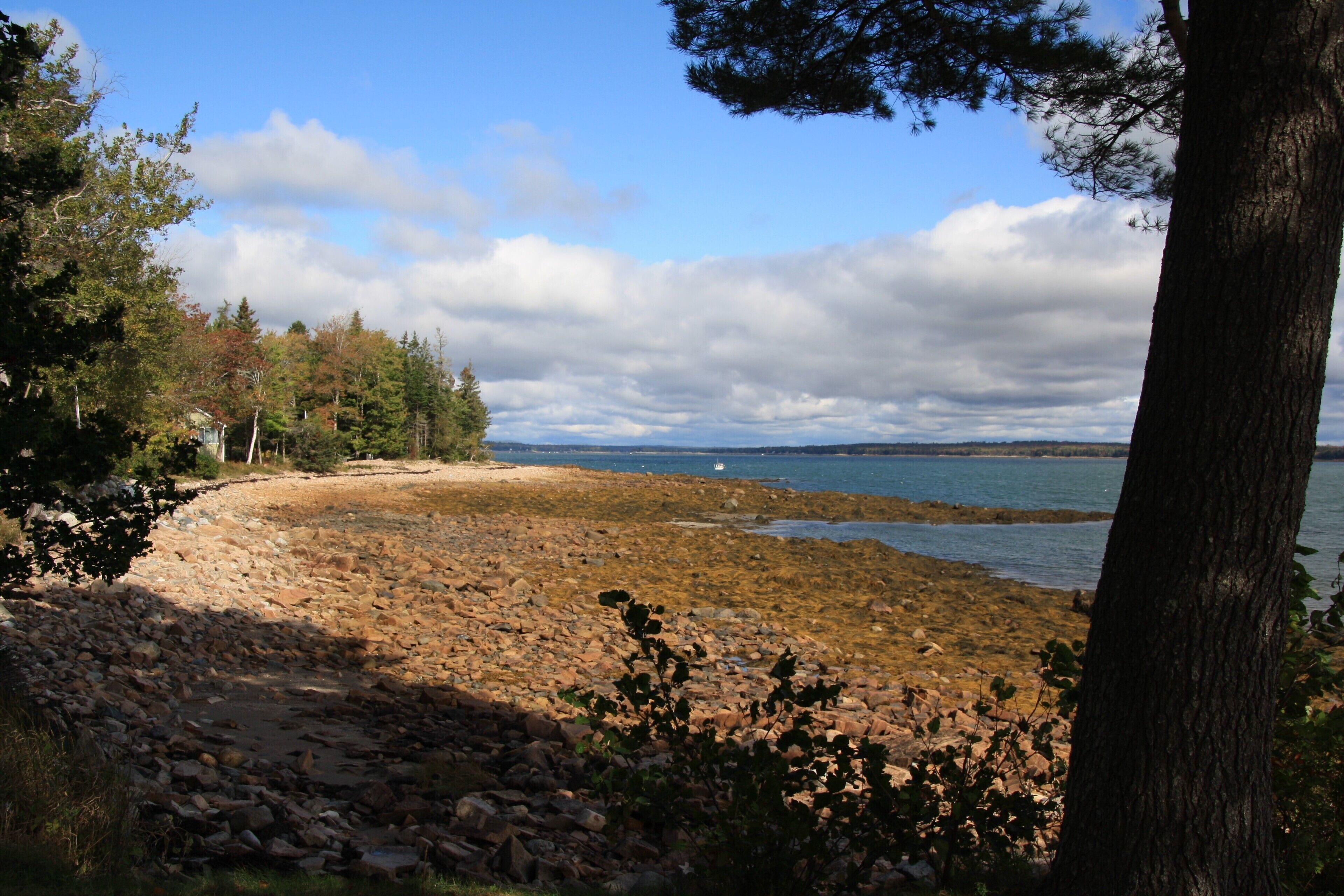 View of bay from the beach facing north.