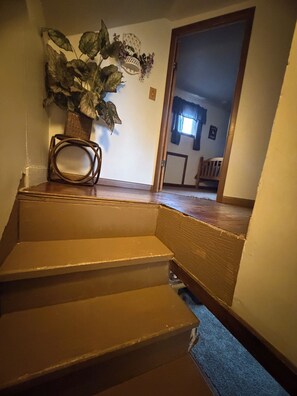 Un escalier avec une plante sur la plateforme.