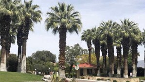 A landscaped area with tall palm trees and a building with a red roof. - Palm Springs Oasis Getaway with Mtn Views - Near Tram & Uptown. (Palm Springs)