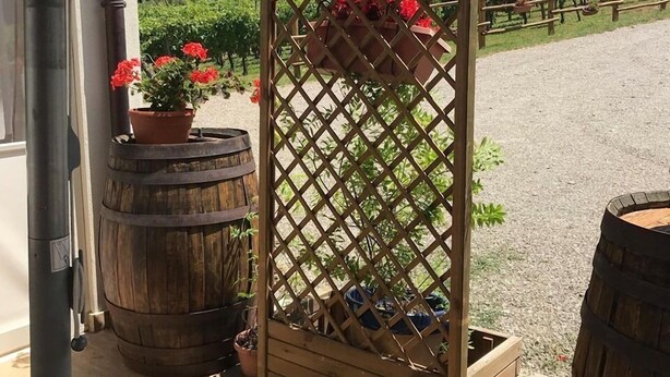 A wooden trellis with red flowers, wooden barrels, and a vineyard in the background. - La Timpa del Cucco (Roccagloriosa)