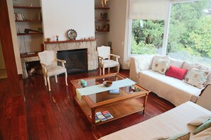 TV connectée, cheminée, livres