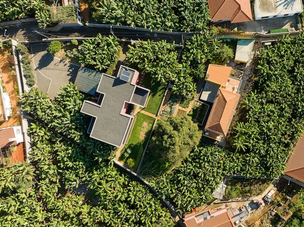 Exterior - A Casa D`Avó Celina (Funchal)