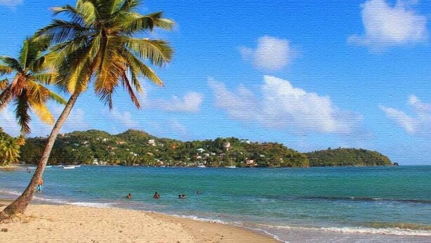 Una playa con palmeras, agua azul cristalina y una colina distante con edificios.