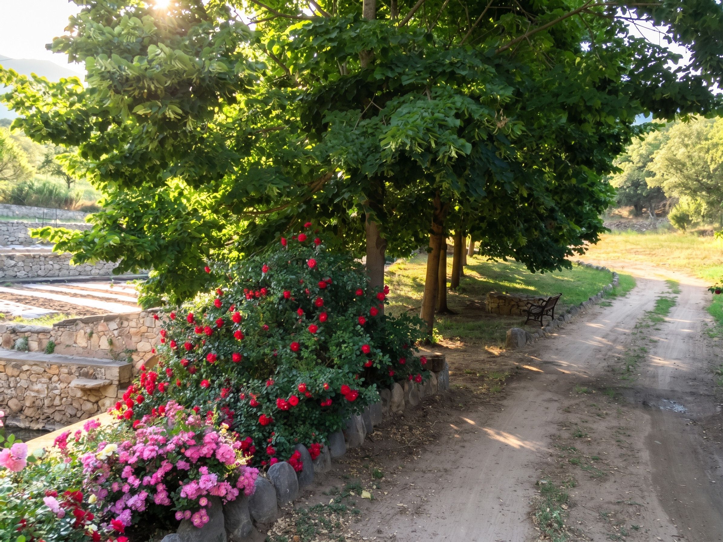 Ein schottriger Pfad führt durch einen Garten mit blühenden Büschen und Bäumen.
