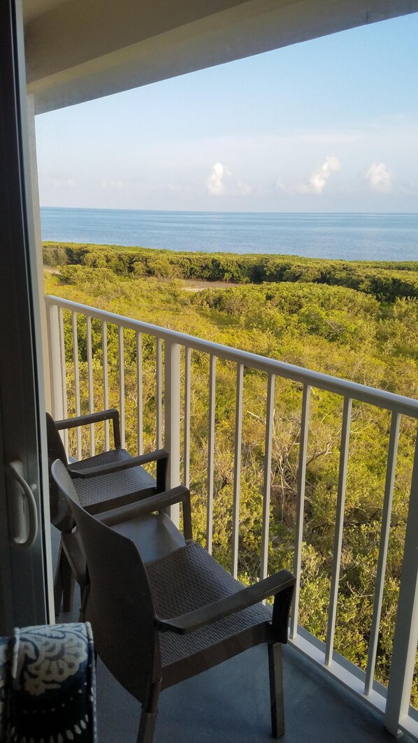 A balcony with a view of the sea and greenery.