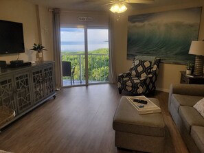 TV, DVD player, books, video library